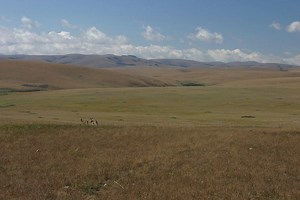 Nyika National Park - Alchetron, The Free Social Encyclopedia