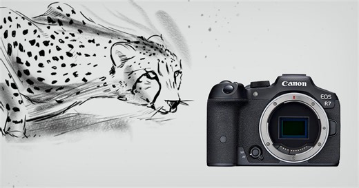 A Cheetah Preparing to Strike Inspired the Canon EOS R7's Design