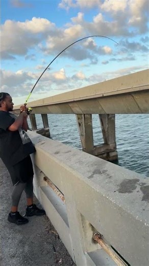 Florida Keys bridge fishing for mutton snappers