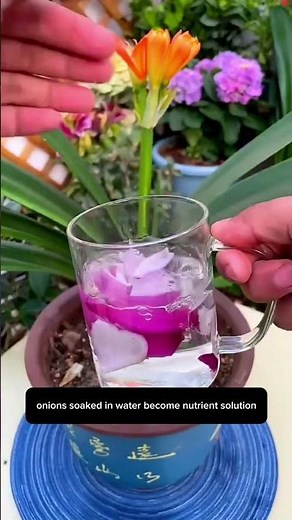 4 Genius Plant Hacks Using Kitchen Ingredients (MSG, Onion, Sugar & More!) 🌱