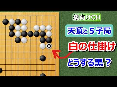[Go] For Kyu Players: 5-Stones Handicap Game – Just Watch and Learn Go