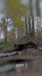 MICHAEL on Instagram: "Warm dugout deep in the roots. Part 1"