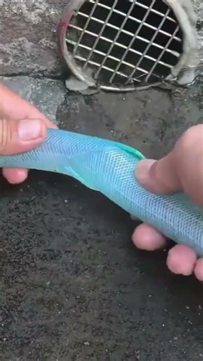 The process of connecting plastic water hoses using rope is simple, easy and fast.