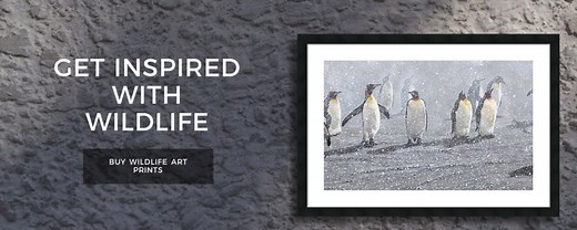 About Alan Hunt and Paintings