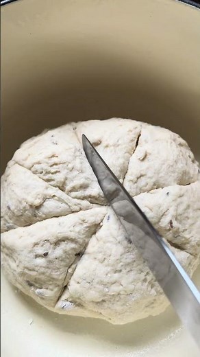 Aussie Damper In A Dutch Oven #food #damper #shorts