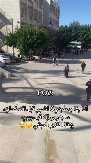 Effective Study Strategies for Final Exams