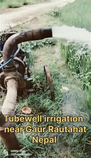 Tubewell Irrigation in Terai Region Nepal #shorts