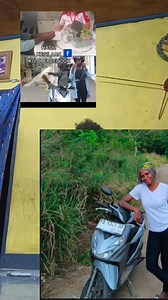 Info kehilangan motor Di trikora abe tadi subuh Bagi yg melihat sap motor Bisa hubungi 081354028107 | Anike Maola Gobai