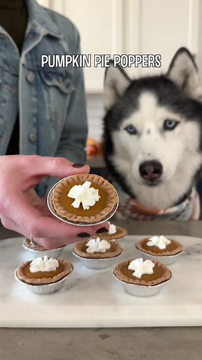 These mini pumpkin pie poppers are so fun and easy to make! They’ll be a hit with all the pups this Thanksgiving 🦃 Ingredients: 2/3 cup wheat flour (can be substituted with any preferred flour like coconut, almond or oat flour but the amount needed will vary) 1/4 cup unsweetened apple sauce 1/8 cup coconut oil 1 tsp agar agar powder 1/3 cup cold water 1/2 cup pumpkin Whipped cream optional Directions: 1. Combine flour, apple sauce and coconut oil in a bowl and combine until it forms a dough. 2.