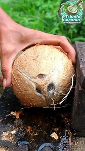Amazing technique Cutting coconut shells | Handika Amiranto