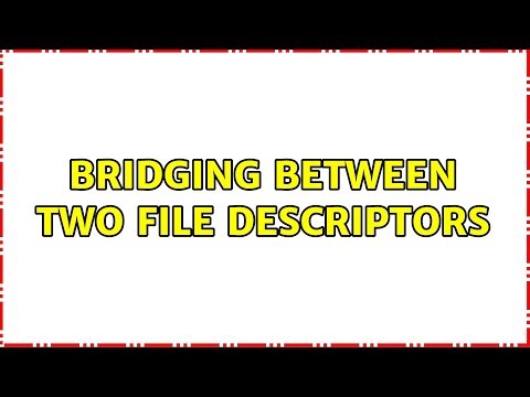 bridging between two file descriptors (2 Solutions!!)