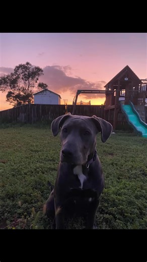 ❤️👑ILOVEMYBOYFRIENDSM❤️👑 (@ilovejasperthecat1)’s videos with original sound - tupac fan🇱🇧🇱🇧🇱🇧🇱🇧🇱🇧