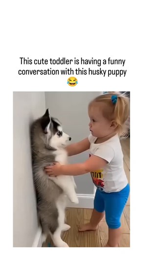 MemesBazaar.io™ on Instagram: "@bitzcasino The post features an AI-generated video of a toddler scolding a husky puppy against a wall for "eating" crayons, depicted through dubbed dialogue like "You're a color thief!" to create a humorous interaction. Despite the post's portrayal as a genuine moment, replies and analyses identify AI artifacts such as unnatural movements and audio syncing, likely produced with tools like Kling AI for viral appeal. Circulating since late 2025 on platforms like Ins