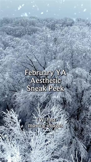The book gods have spoken, and they’ve decided you absolutely deserve a glimpse into what we have in store for February… are you ready for our next YA Aesthetic Sneak Peek? ❄️ For those who feel like their destinies have already been written in the stars, this is your reminder to chart your own constellations. Expect a sweeping tale of magic, a deadly frost creeping ever closer, star-crossed lovers you’ll root for, and a fluffy animal companion that will steal every last piece of your heart! ☃️ 