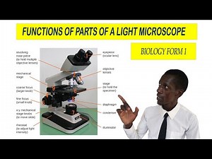 Practical Lesson 1: Parts of a light microscope and their functions