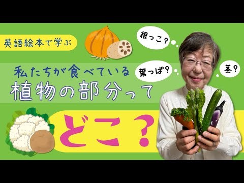 【We Can Eat the Plants】「私たちが食べている野菜は植物のどの部分？」根っこ、くき、はっぱ、実…「ジャガイモ、サツマイモ、玉ねぎは植物のどの部分？」を英語絵本で学びましょう！＃80