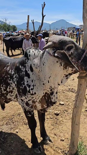 Hunter Vlogs on Reels