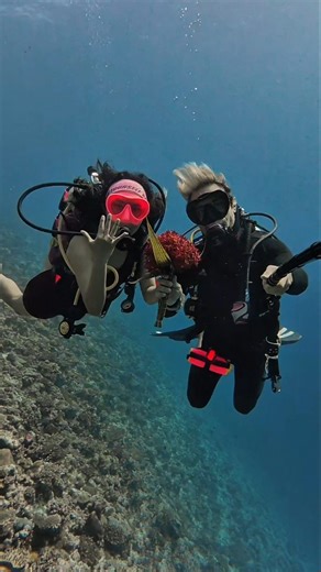 🤿Luca Underwater🌊 on Instagram: "Fall in love, again and again..... #valentines #romantic #scubadiving"