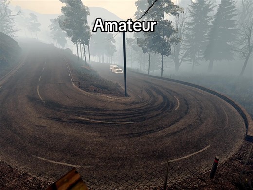 Exploring Levels in Rally Racing