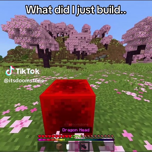 Creating a Minecraft Dragon