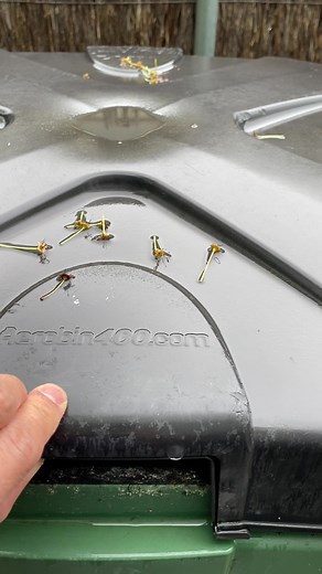 A Hot compost bin! ♨️♨️♨️ Aerobin composts all year round and helps to make your soil better! 💚👍😊 💫Composting is a cycle of life and it also promotes a cycle of healthy lifestyle because composting can motivate people eat more fresh & seasonable food! 🌱So do your best choosing fresh & seasonable food over processed and packaged food! ♻️Eat ~> Compost ~> Grow ~> Eat 💫 Check our other posts to see more how this loop looks like in action! 💯There is no magic with composting but when the desig