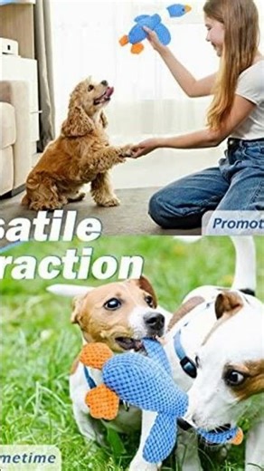 Can Max Destroy This Toy? | Vitscan Duck Toy Challenge