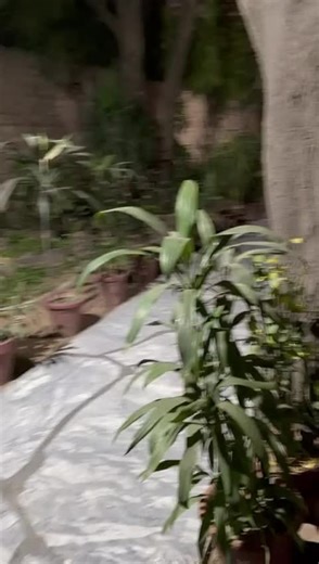 Exploring the Culture of Nakai Pakistan