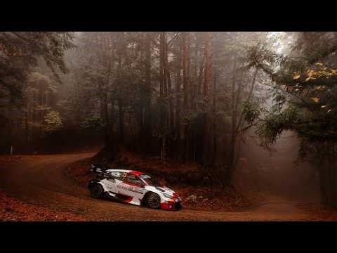 Best of WRC Rally Japan 2025 | Speed, Crashes & Raw Sound 🔥