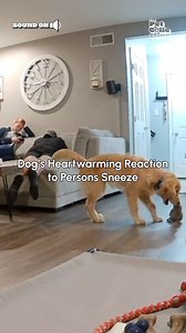 Forgetting something dad?! 😂🐶 (Via - Mark B.) #Dogs #Funny #Fails #DogDads #DogParents | Fur Family