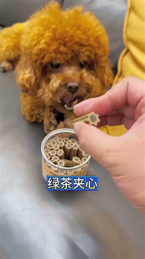 Cute Mao-general