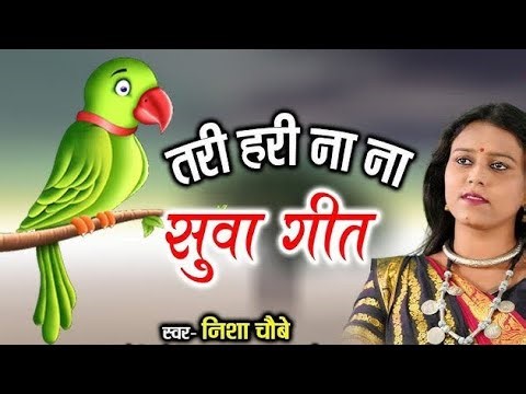 Tarihari Nana mor suvana geet ✨ chhatisgarhi geet manegaong night program 💫