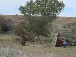 What it really takes to set up a working cow camp in the wild