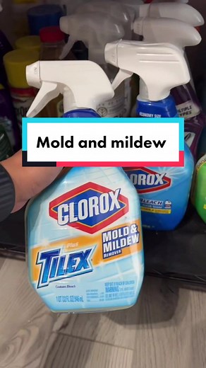 Best Mold and Mildew Remover Products for Your Home