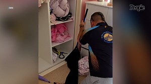 Family Finds One of the 'Most Venomous' Snakes in the World Hiding in Young Girl's Bedroom