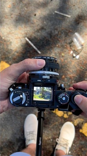 Nikon F3 shutter sound is pure pleaser #asmr #shorts #filmphotography