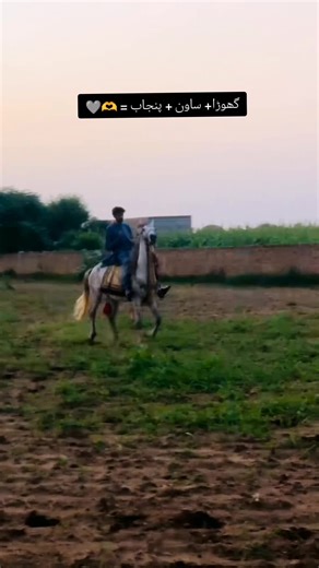 Horse Riding in Punjab