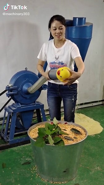 Corn Processing Machine Operation Explained