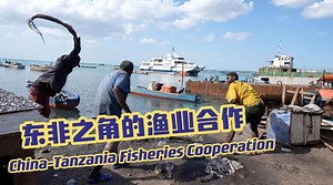 Fisheries in Tanzania's Zanzibar play a significant role in the local economy. However, the lack of modernization has delayed the sector's development. In recent years, the government of Zanzibar has been making efforts to revamp the seafood industry. How has China, despite being thousands of miles away, participated in the process? Check out the video. #TheNewSilkRoad | CGTN