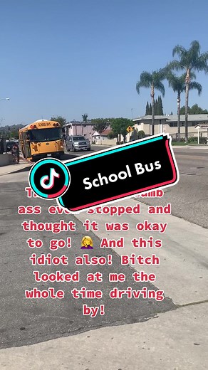 #fyp #schoolbus #knowyourlaws #stopforschoolbuses #lahabracalifornia #idiotdrivers #busstopkaren #california