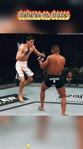 Referee vs Boxer#ufc #referee #fighter #mma