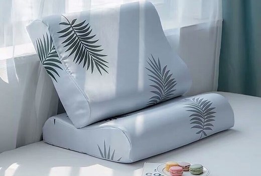 10 Best Bamboo Pillows Reviewed in Detail (Winter 2025)