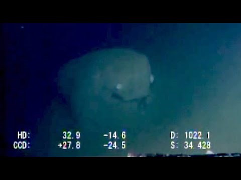 Strange ROV Footage from Sagami Bay | Deepsea Oddities: Unknown