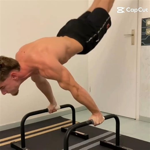 ULTIMATE Planche Combo 2: Calisthenics Mastery!