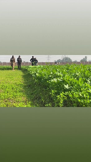 6.9K views · 80 reactions | 03041112220 | AUTOMATIC FODDER REAPER CUTTER | Soby Agro Machinery | Facebook