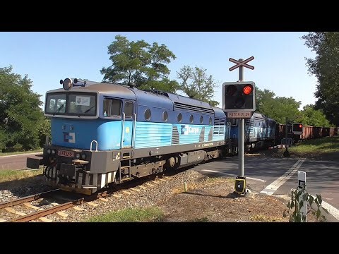 Železniční přejezd Libočany #2 - 24.8.2024 // Railroad crossing