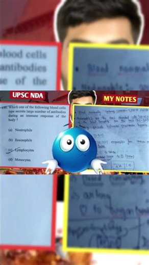 The NDA path supermacy 😎😱☠️ #shorts #ytshorts #ndapath