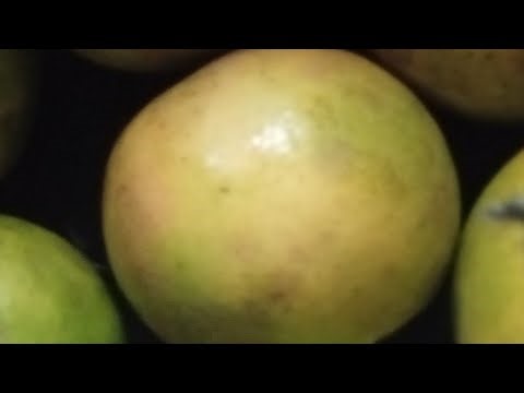 What has the LORD asked you to offer???