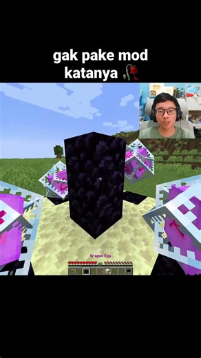 Momen Axolotl Ender Dragon Minecraft