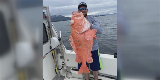 Angler sets state record by reeling in massive 42-pound rockfish