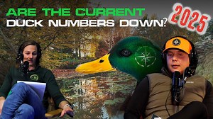 42 reactions · 5 comments | In this clip, we sit down with a seasoned...